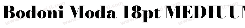 Bodoni Moda 18pt MEDIUUM字体转换